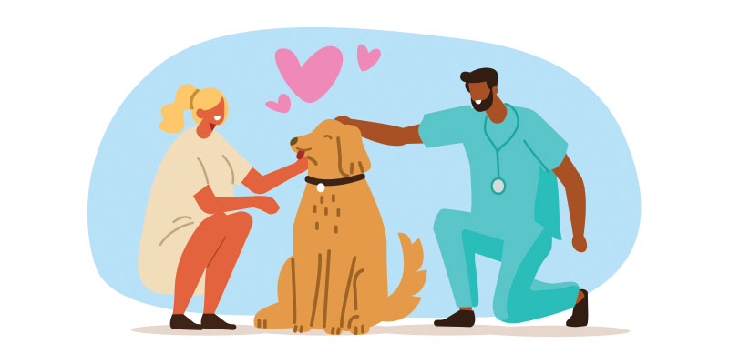 illustration of dog with woman and male vet